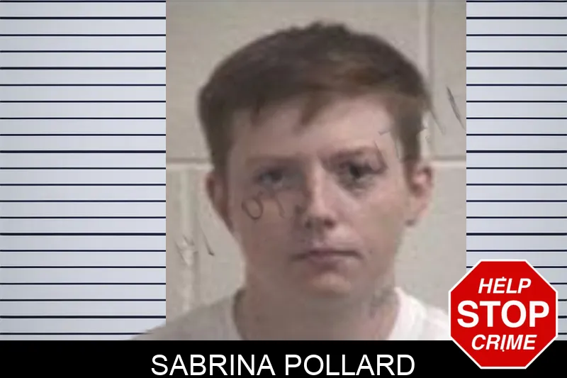 Sabrina Pollard mugshot