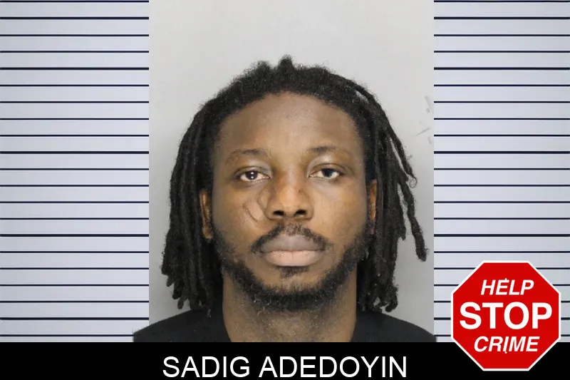 Sadig Adedoyin mugshot – Cobb County , Georgia Sadig Adedoyin mugshot