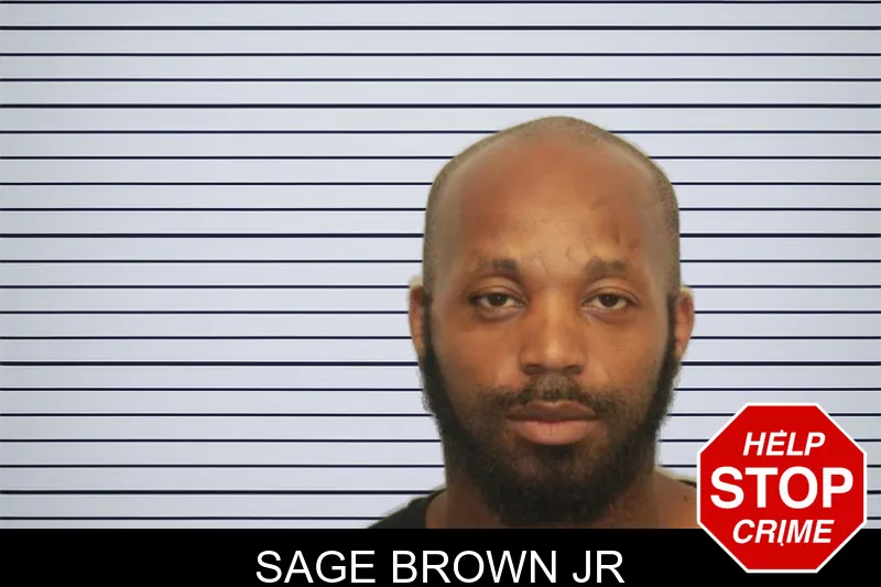 Sage Brown Jr mugshot