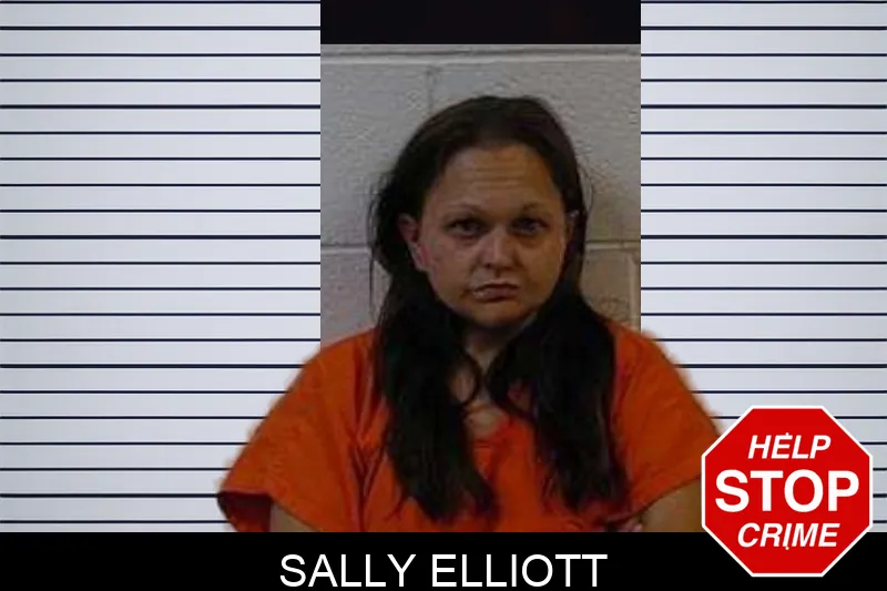 Sally Elliott mugshot