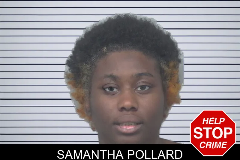 Samantha Pollard mugshot