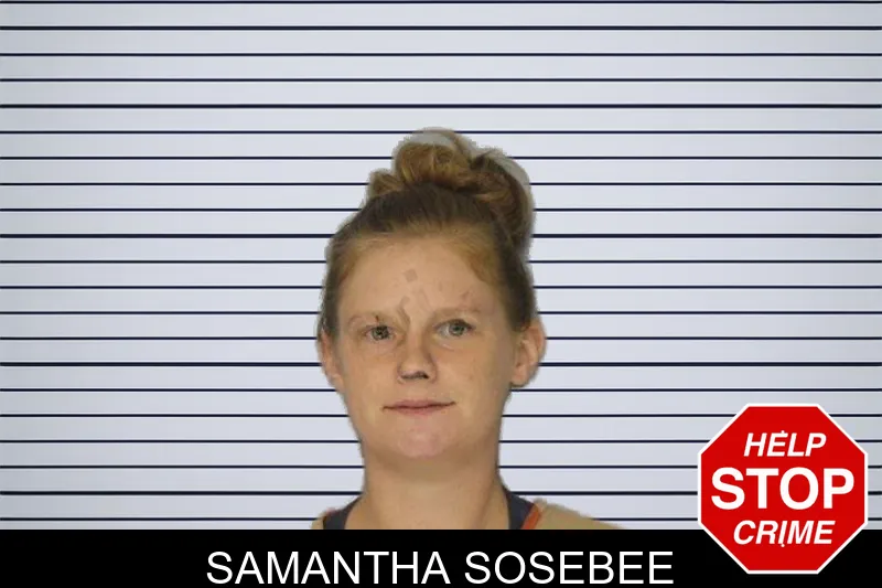 Samantha Sosebee mugshot