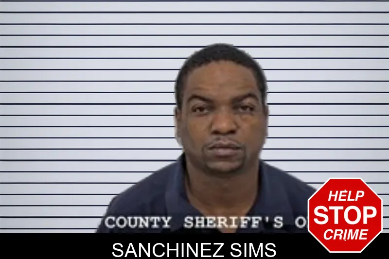 Sanchinez Sims mugshot