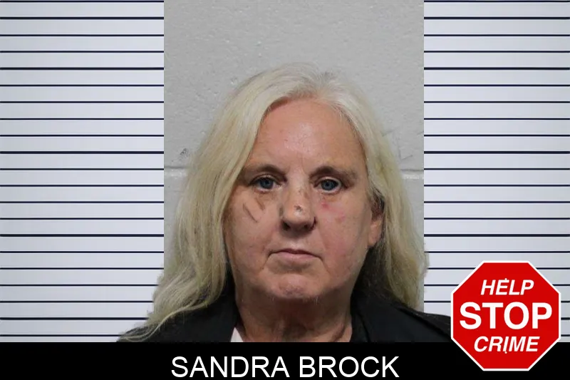 Sandra Brock mugshot