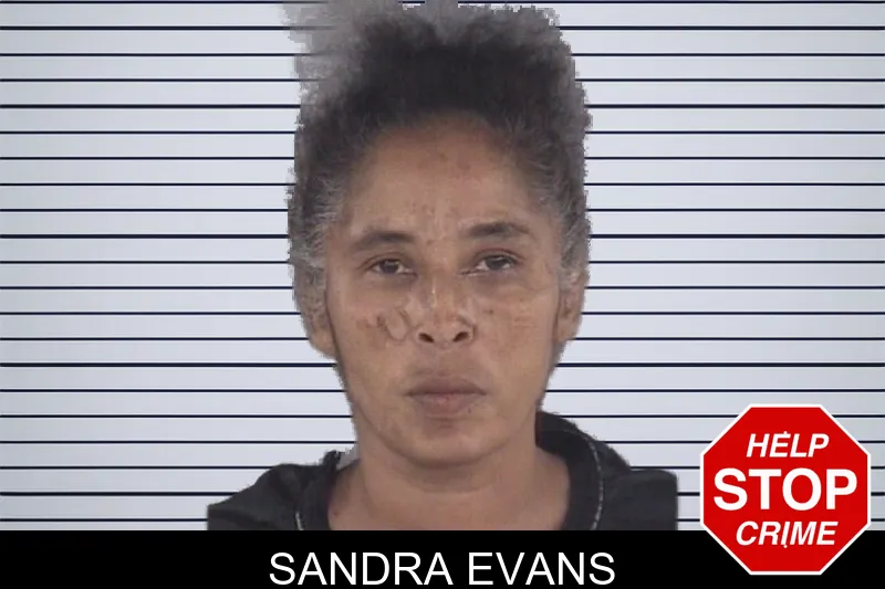 Sandra Evans mugshot