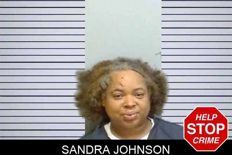 Sandra Johnson mugshot