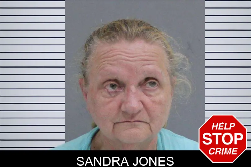 Sandra Jones mugshot