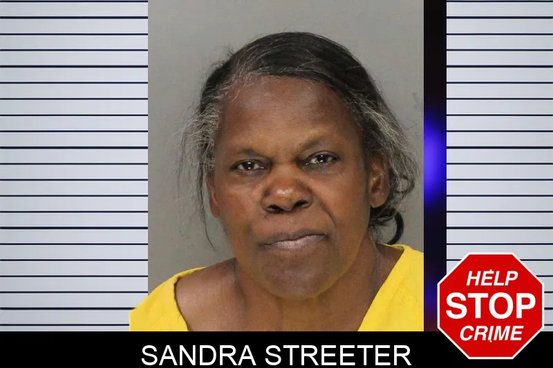 Sandra Streeter mugshot