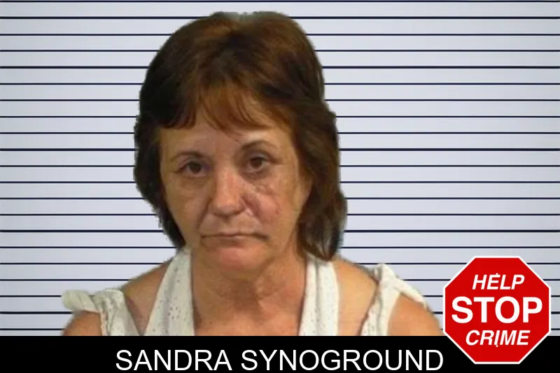 Sandra Synoground mugshot