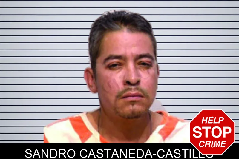 Sandro Castaneda-Castillo mugshot