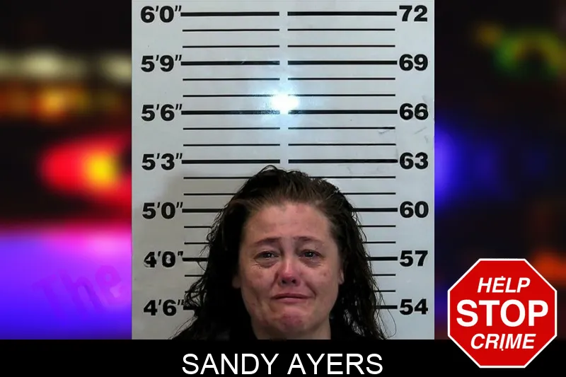 Sandy Ayers mugshot