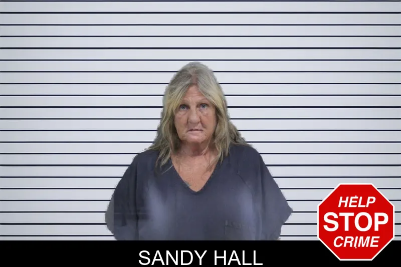 Sandy Hall mugshot