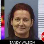 Sandy Wilson mugshot