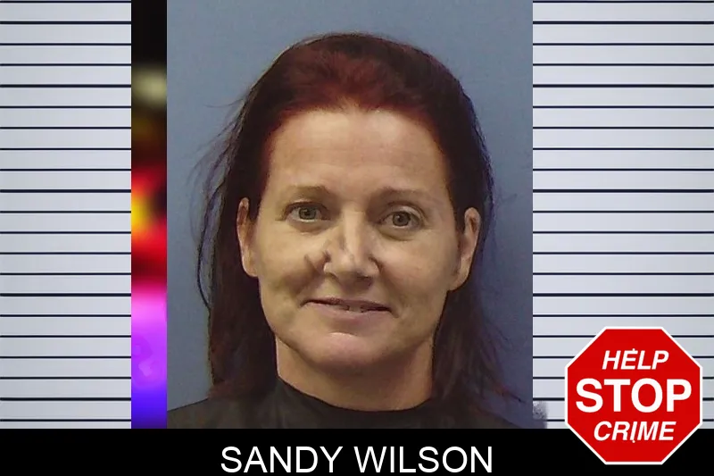Sandy Wilson mugshot