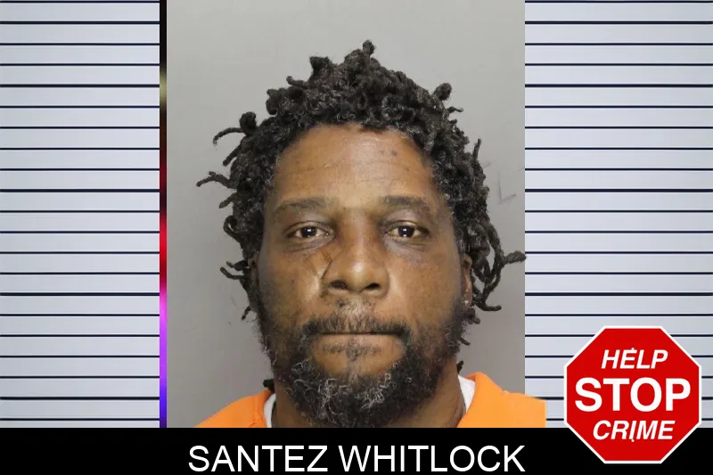 Santez Whitlock mugshot