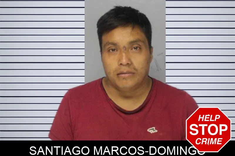 Santiago Marcos-Domingo mugshot