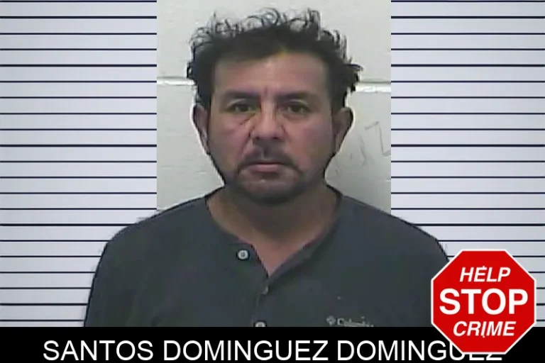 Santos Dominguez Dominguez