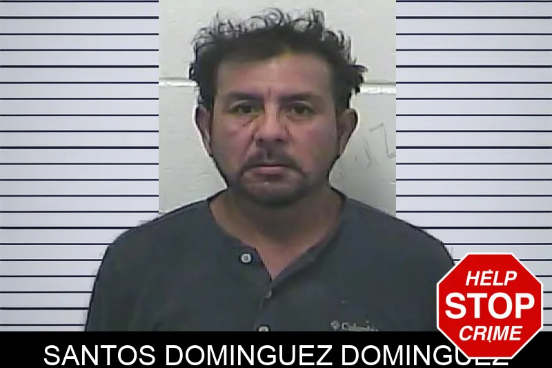 Santos Dominguez Dominguez mugshot