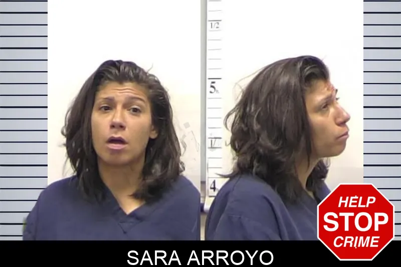 Sara Arroyo mugshot