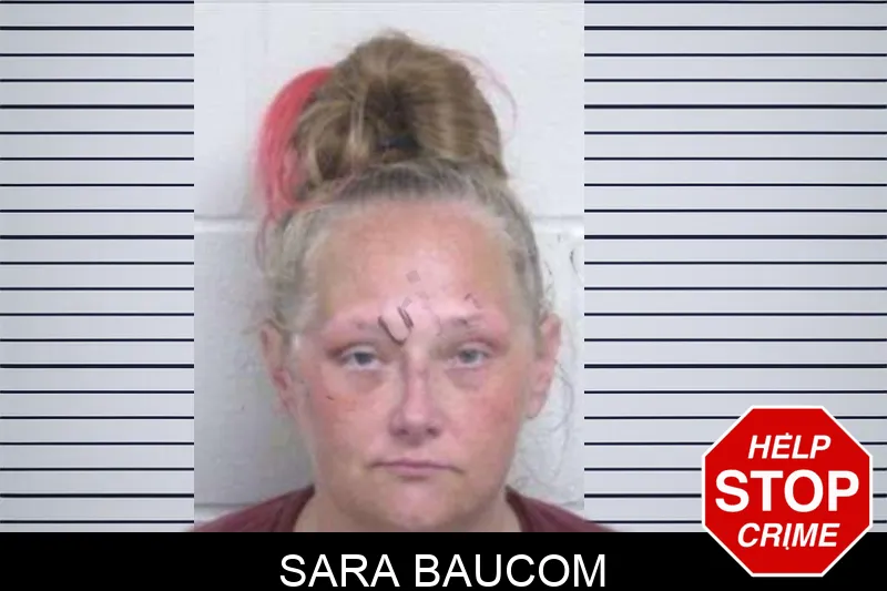 Sara Baucom mugshot