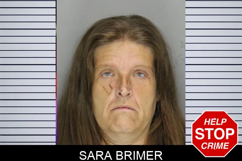 Sara Brimer mugshot