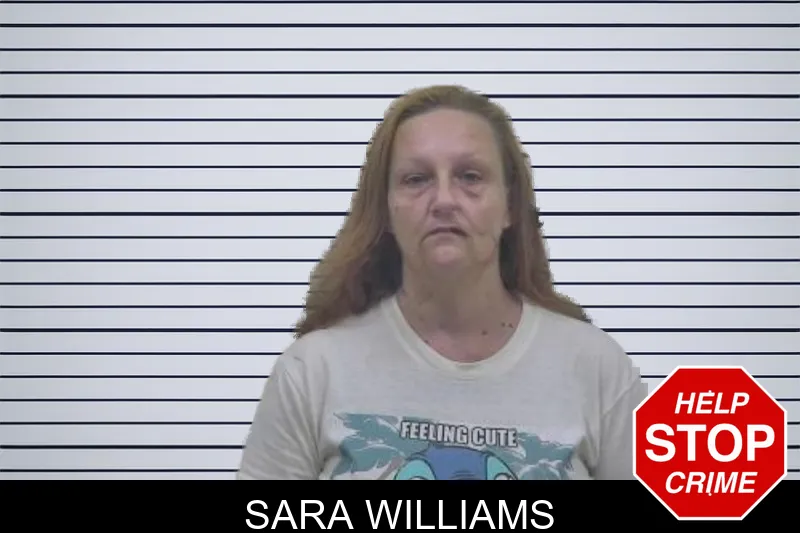 Sara Williams mugshot