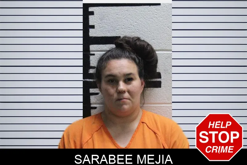Sarabee Mejia mugshot