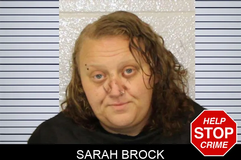 Sarah Brock mugshot