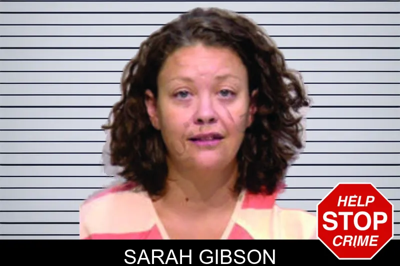 Sarah Gibson mugshot