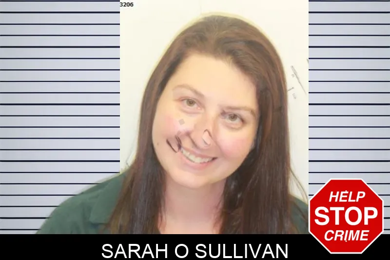 Sarah O Sullivan mugshot