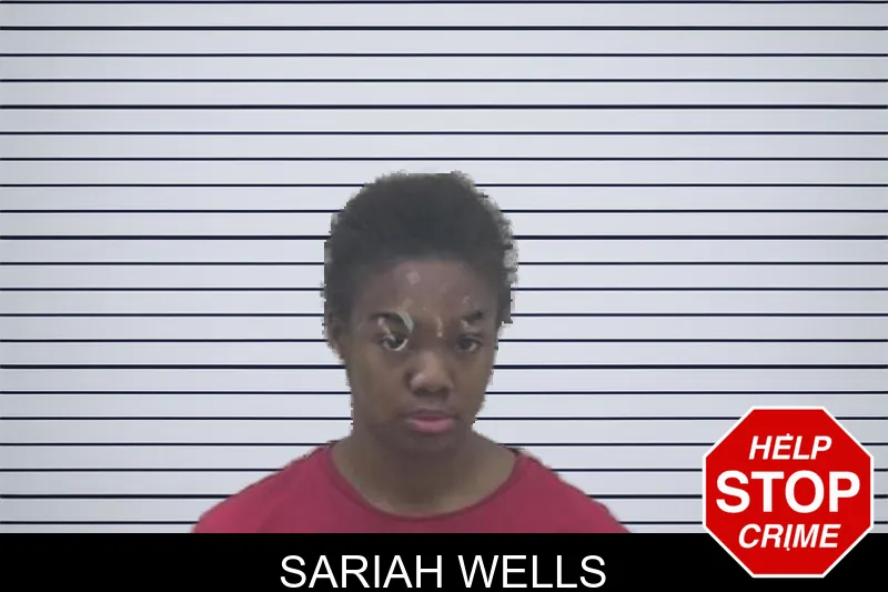 Sariah Wells mugshot