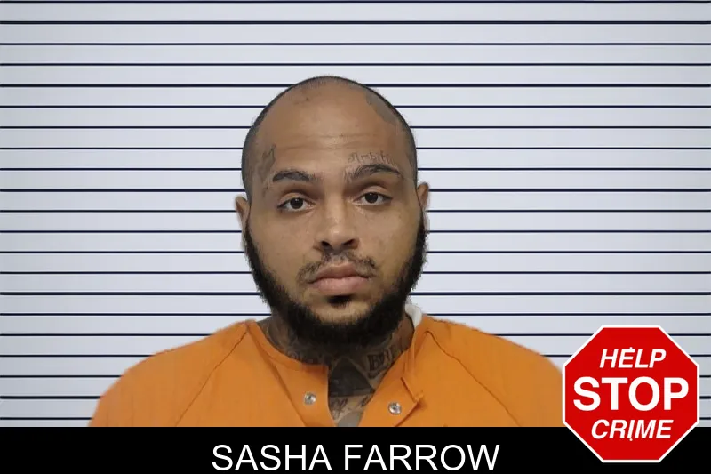 Sasha Farrow mugshot