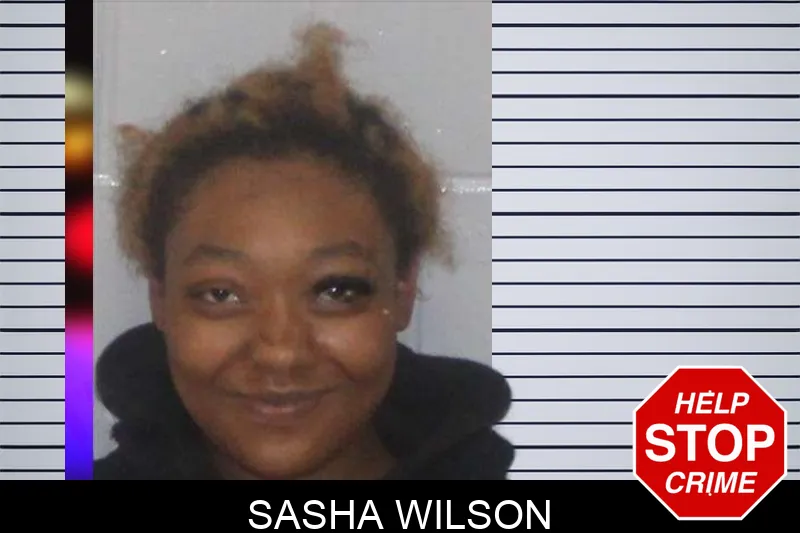 Sasha Wilson mugshot