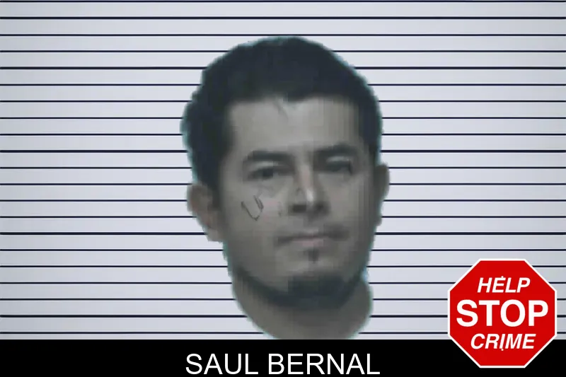 Saul Bernal mugshot