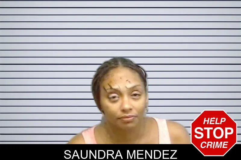 Saundra Mendez mugshot
