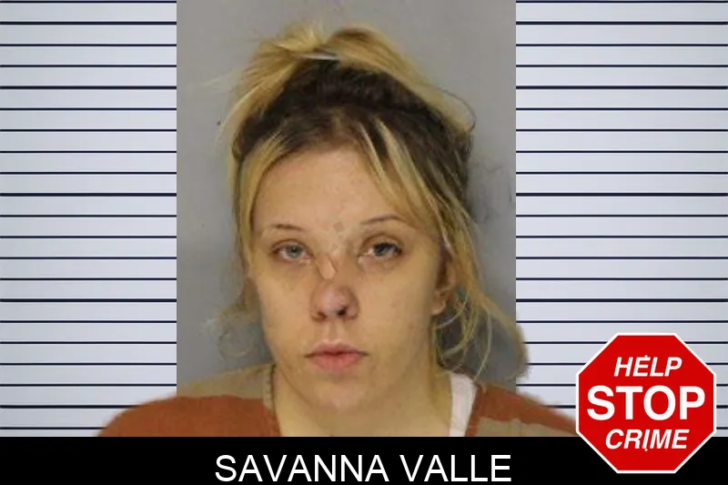 Savanna Valle mugshot