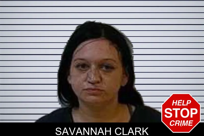 Savannah Clark mugshot