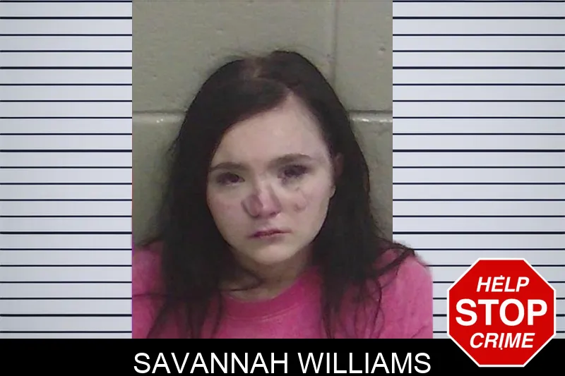 Savannah Williams mugshot