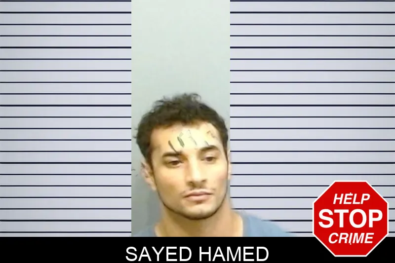Sayed Hamed mugshot