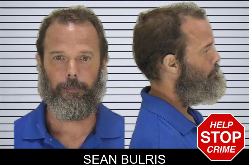 Sean Bulris mugshot