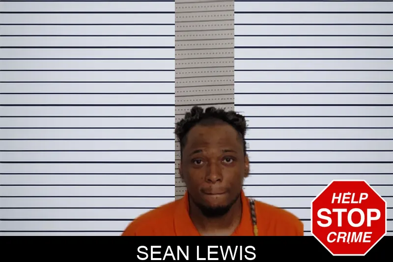 Sean Lewis mugshot