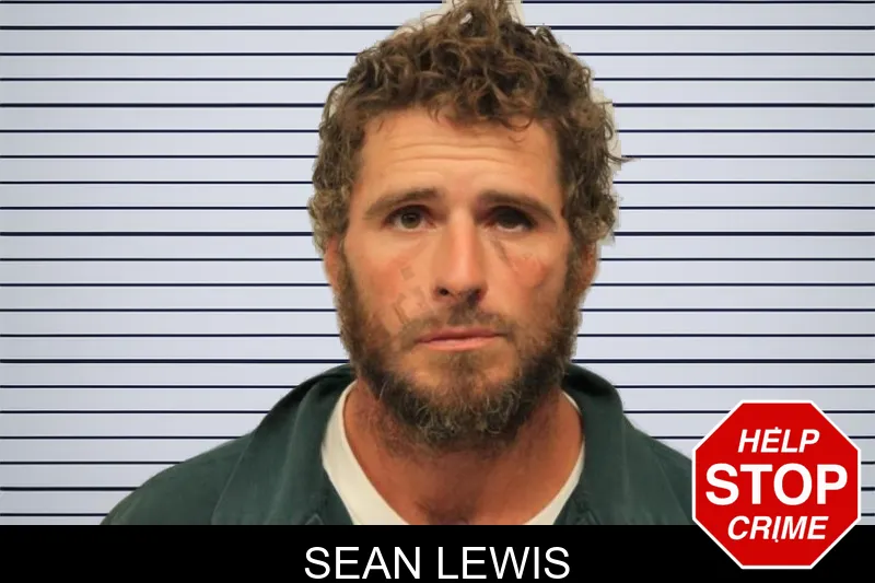 Sean Lewis mugshot