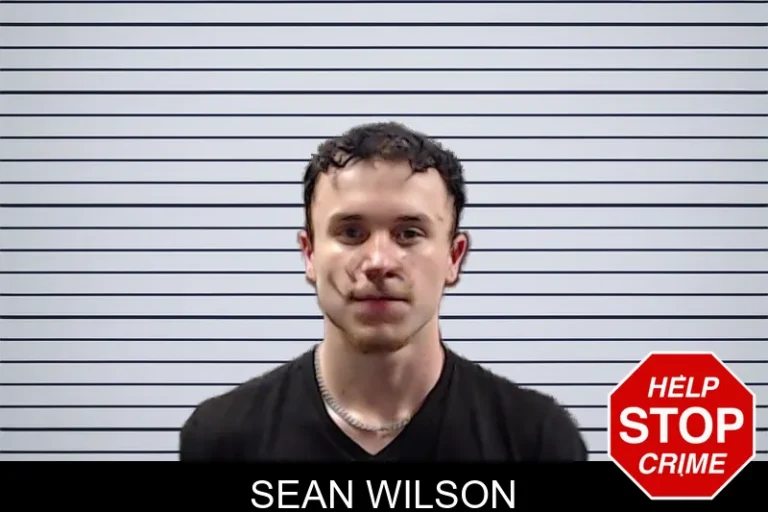Sean Wilson