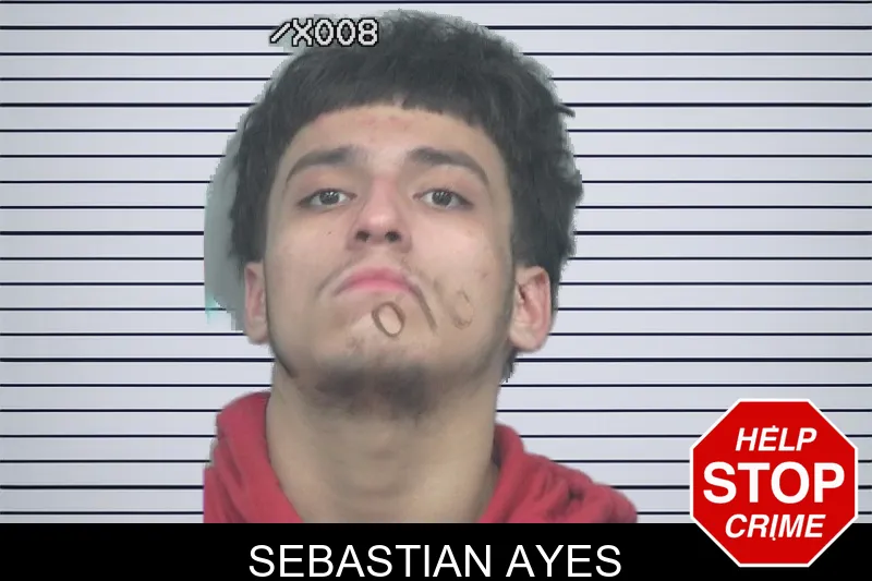 Sebastian Ayes mugshot