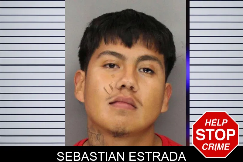 Sebastian Estrada mugshot