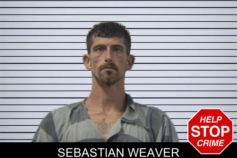 Sebastian Weaver mugshot