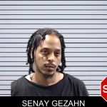 Senay Gezahn mugshot