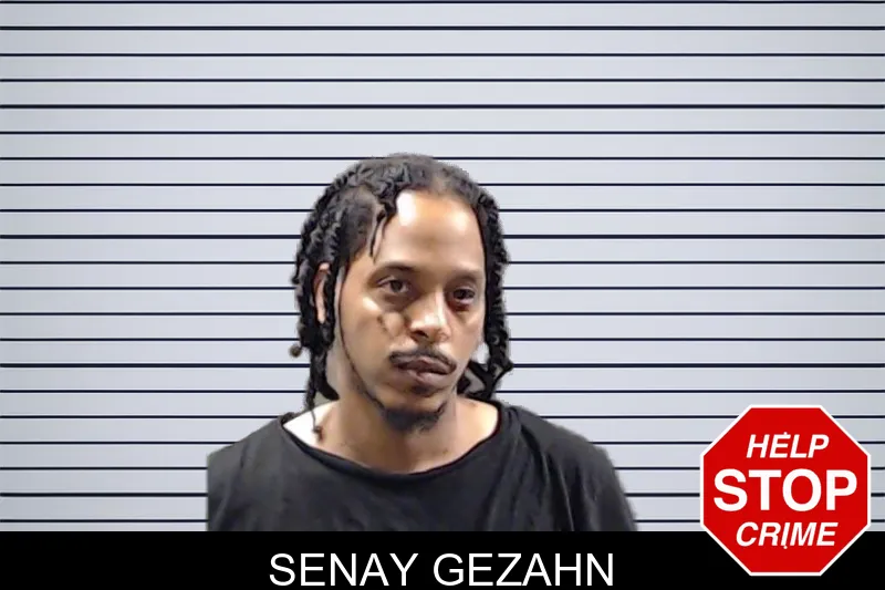 Senay Gezahn mugshot