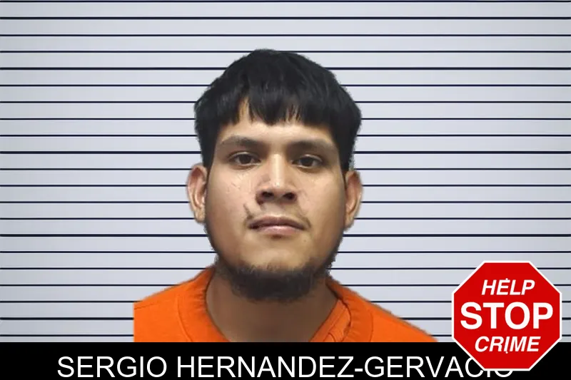Sergio Hernandez-Gervacio mugshot