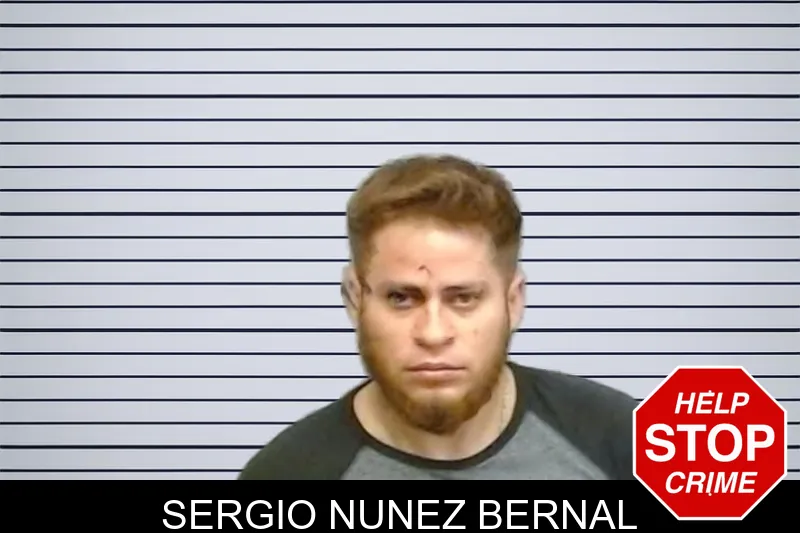 Sergio Nunez Bernal mugshot